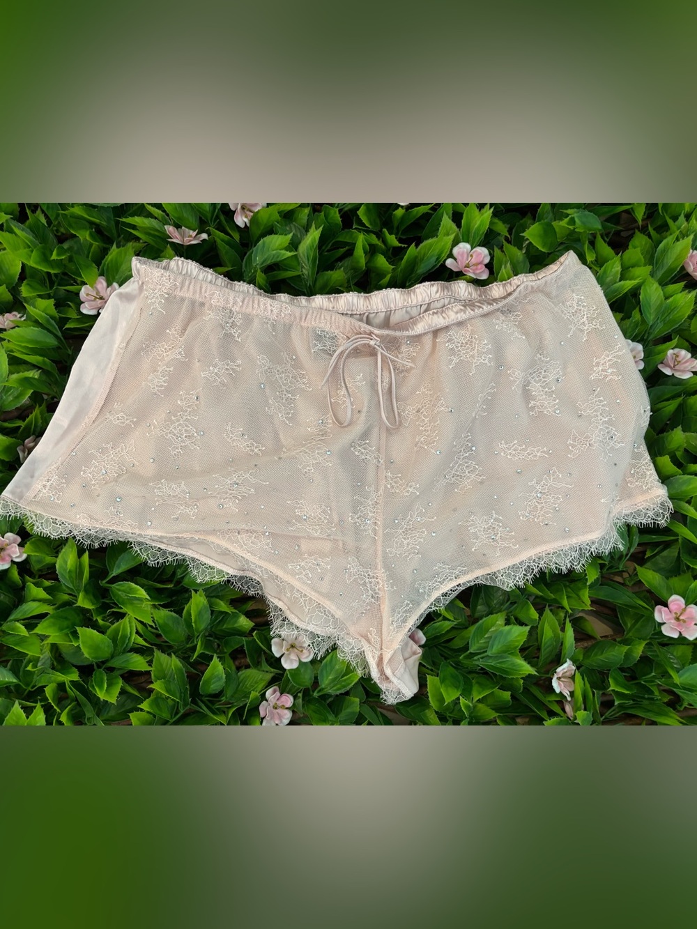 Victoria's Secret Pale Blush Lace High-Waist Briefs